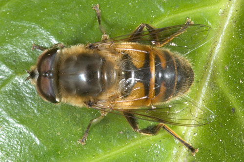 www.zog.org/blog/20040922_124111_DSC7671[1].jpg